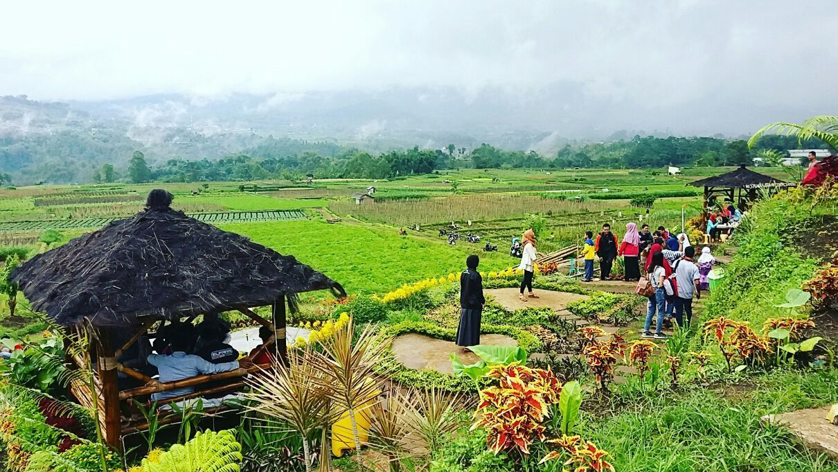 Tren Wisata Desa 2025 di Indonesia: Kebangkitan Pariwisata Lokal yang Berkelanjutan